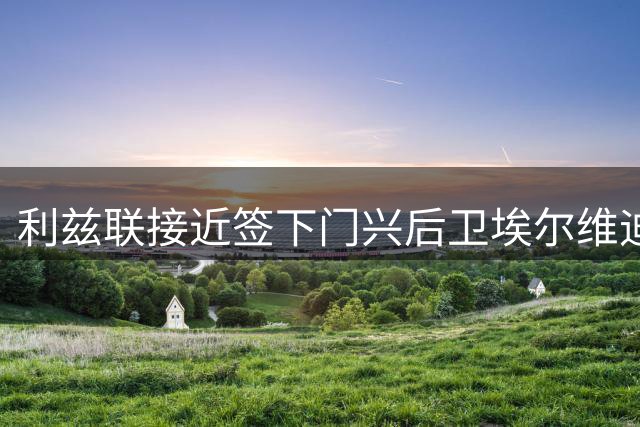 利兹联接近签下门兴后卫埃尔维迪 5年合约已谈妥